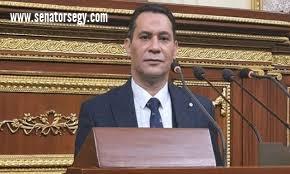 النائب أحمد عاشور يشدد على أهمية زيارة السيسي للسعودية لدعم الأمن الإقليمي والتنمية المشتركة